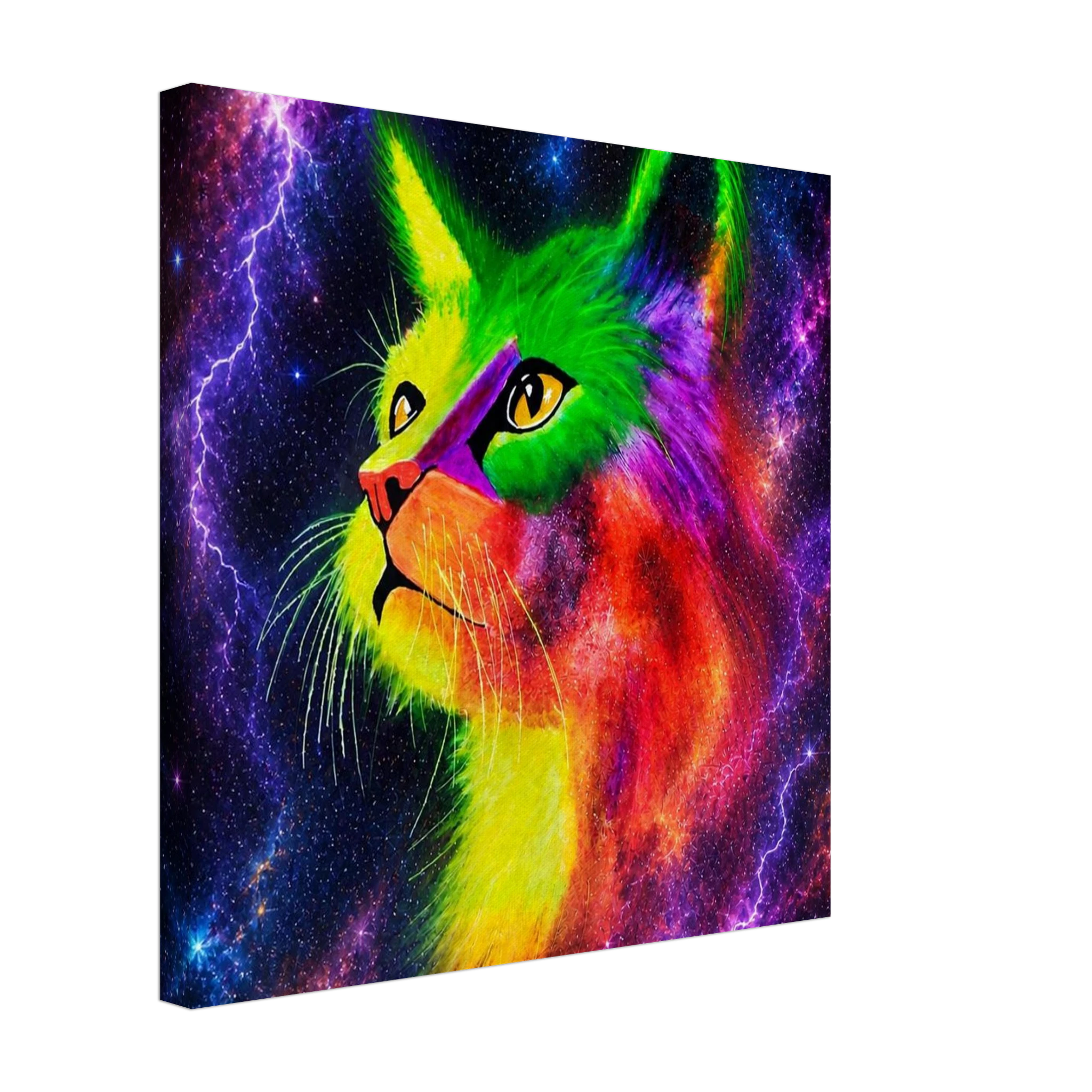 a9260672-b736-466a-8316-62d9dc8e0ab7